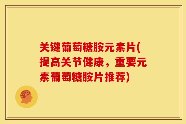 关键葡萄糖胺元素片(提高关节健康，重要元素葡萄糖胺片推荐)