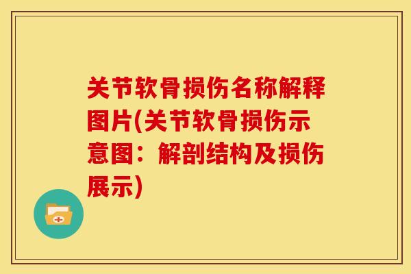 关节软骨损伤名称解释图片(关节软骨损伤示意图：解剖结构及损伤展示)
