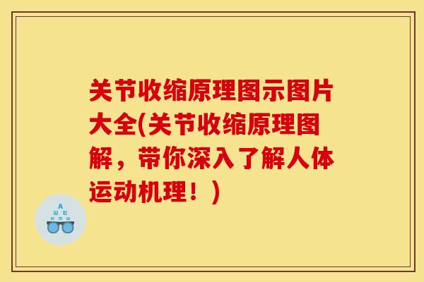 关节收缩原理图示图片大全(关节收缩原理图解，带你深入了解人体运动机理！)