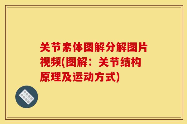 关节素体图解分解图片视频(图解：关节结构原理及运动方式)