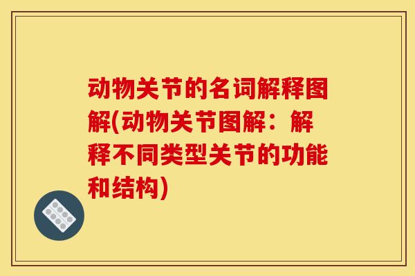 动物关节的名词解释图解(动物关节图解：解释不同类型关节的功能和结构)