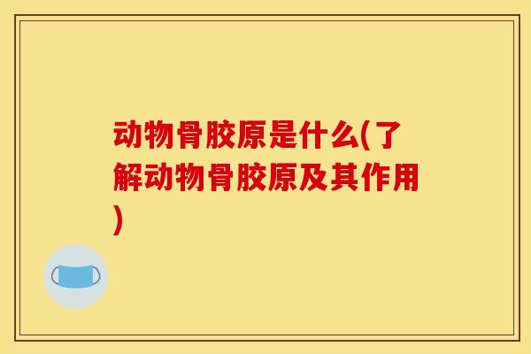 动物骨胶原是什么(了解动物骨胶原及其作用)