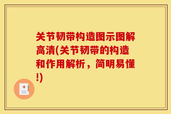 关节韧带构造图示图解高清(关节韧带的构造和作用解析，简明易懂!)