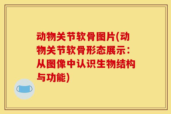 动物关节软骨图片(动物关节软骨形态展示：从图像中认识生物结构与功能)