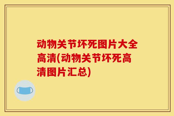 动物关节坏死图片大全高清(动物关节坏死高清图片汇总)