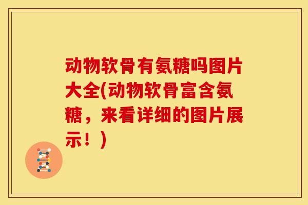 动物软骨有氨糖吗图片大全(动物软骨富含氨糖，来看详细的图片展示！)