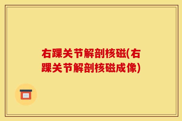 右踝关节解剖核磁(右踝关节解剖核磁成像)