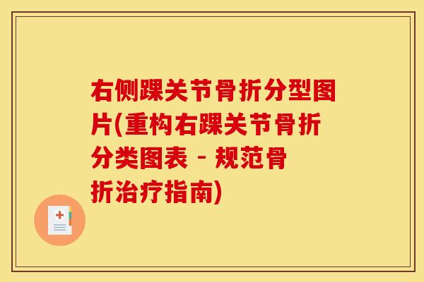 右侧踝关节骨折分型图片(重构右踝关节骨折分类图表 - 规范骨折治疗指南)