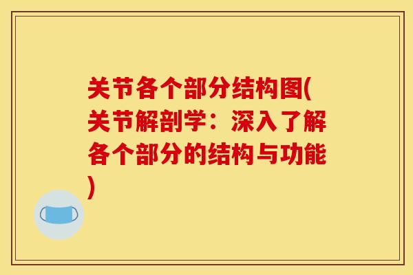 关节各个部分结构图(关节解剖学：深入了解各个部分的结构与功能)