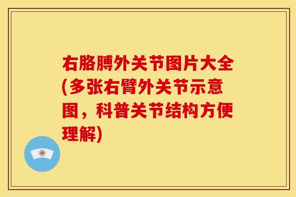 右胳膊外关节图片大全(多张右臂外关节示意图，科普关节结构方便理解)