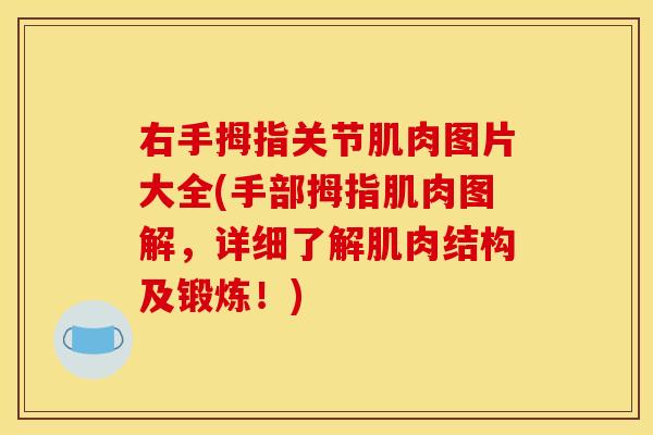 右手拇指关节肌肉图片大全(手部拇指肌肉图解，详细了解肌肉结构及锻炼！)