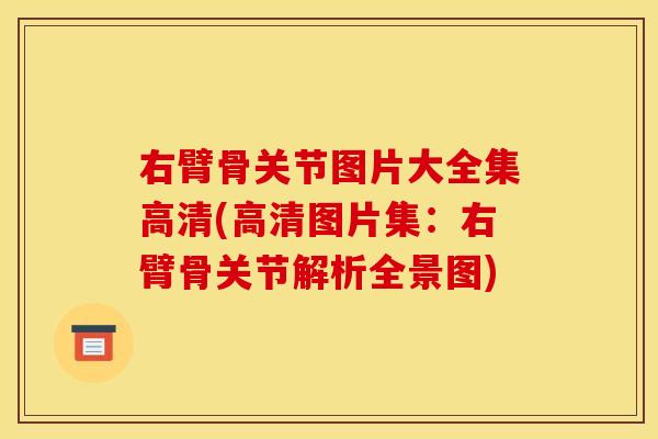 右臂骨关节图片大全集高清(高清图片集：右臂骨关节解析全景图)