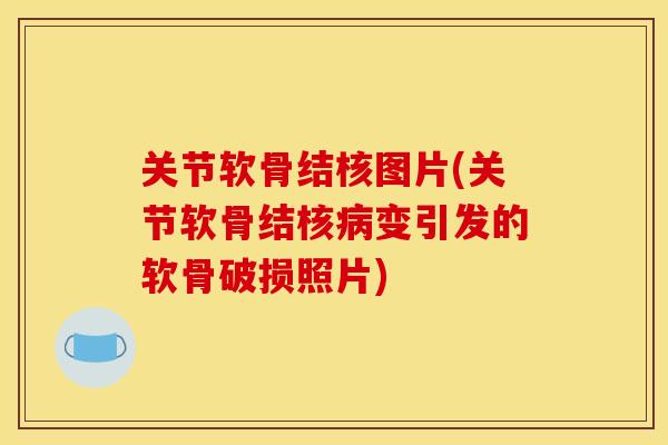 关节软骨结核图片(关节软骨结核病变引发的软骨破损照片)