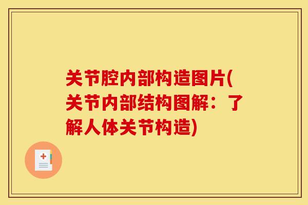 关节腔内部构造图片(关节内部结构图解：了解人体关节构造)