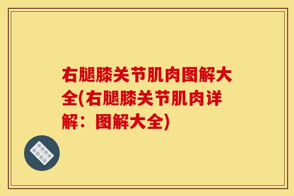 右腿膝关节肌肉图解大全(右腿膝关节肌肉详解：图解大全)