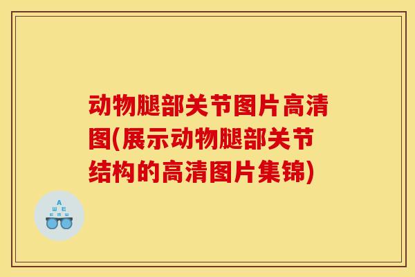 动物腿部关节图片高清图(展示动物腿部关节结构的高清图片集锦)