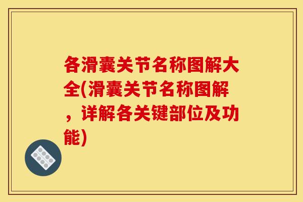各滑囊关节名称图解大全(滑囊关节名称图解，详解各关键部位及功能)