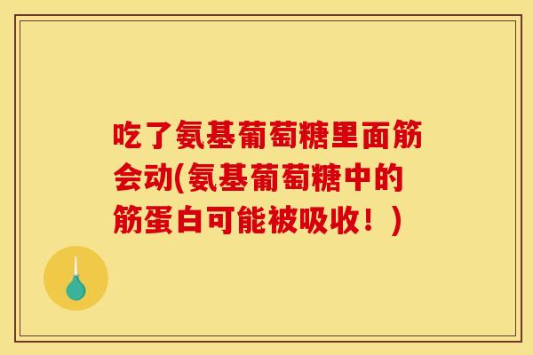 吃了氨基葡萄糖里面筋会动(氨基葡萄糖中的筋蛋白可能被吸收！)