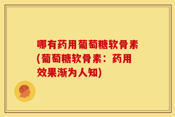 哪有药用葡萄糖软骨素(葡萄糖软骨素：药用效果渐为人知)