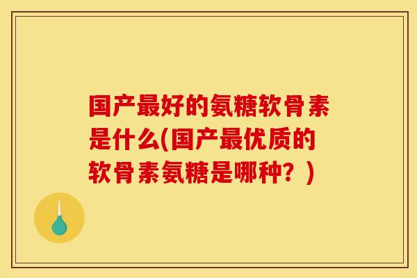 国产最好的氨糖软骨素是什么(国产最优质的软骨素氨糖是哪种？)