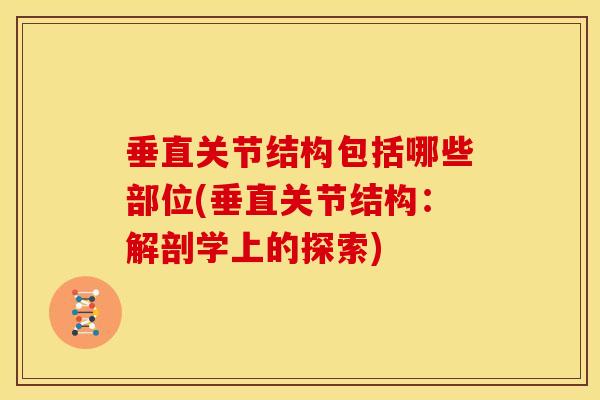 垂直关节结构包括哪些部位(垂直关节结构：解剖学上的探索)