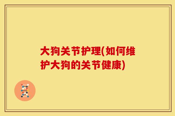 大狗关节护理(如何维护大狗的关节健康)