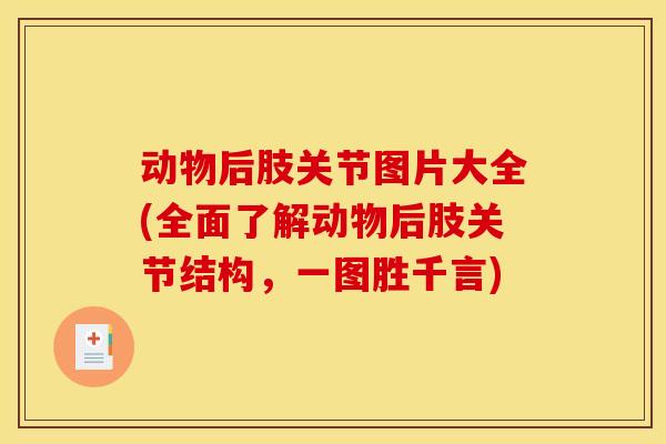 动物后肢关节图片大全(全面了解动物后肢关节结构，一图胜千言)