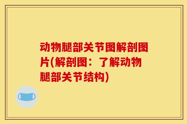 动物腿部关节图解剖图片(解剖图：了解动物腿部关节结构)