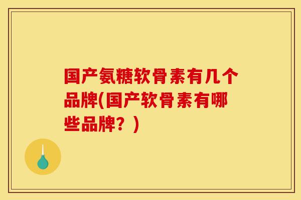 国产氨糖软骨素有几个品牌(国产软骨素有哪些品牌？)