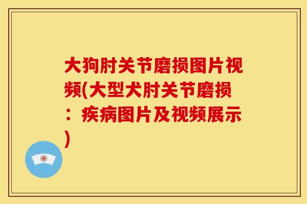 大狗肘关节磨损图片视频(大型犬肘关节磨损：疾病图片及视频展示)