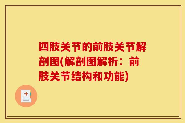 四肢关节的前肢关节解剖图(解剖图解析：前肢关节结构和功能)