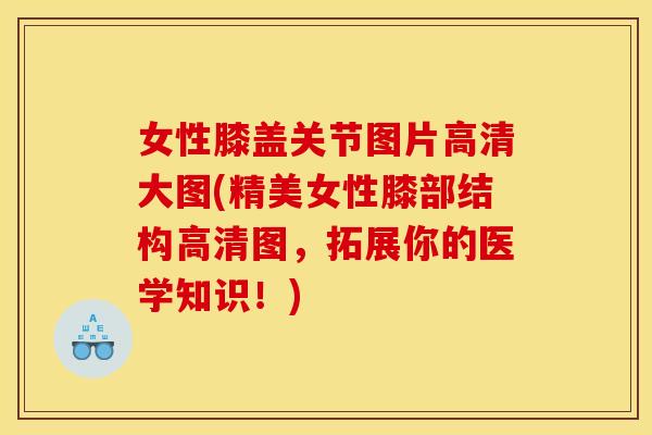 女性膝盖关节图片高清大图(精美女性膝部结构高清图，拓展你的医学知识！)
