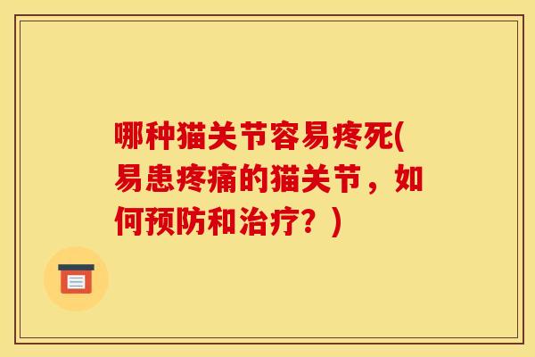 哪种猫关节容易疼死(易患疼痛的猫关节，如何预防和治疗？)