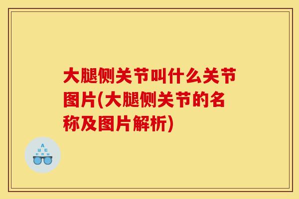 大腿侧关节叫什么关节图片(大腿侧关节的名称及图片解析)