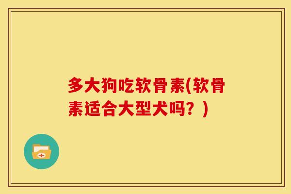 多大狗吃软骨素(软骨素适合大型犬吗？)