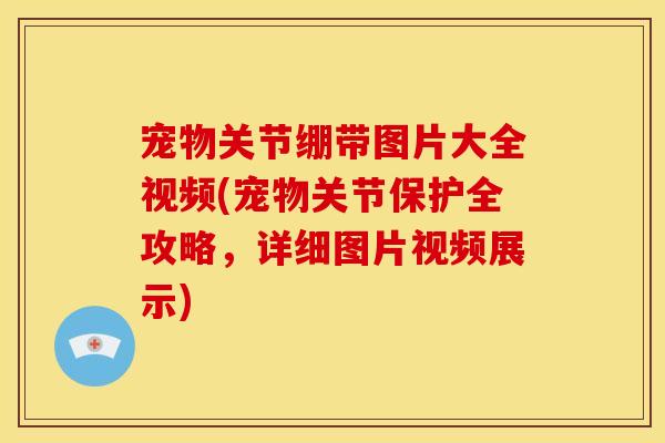 宠物关节绷带图片大全视频(宠物关节保护全攻略，详细图片视频展示)