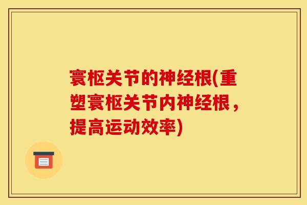 寰枢关节的神经根(重塑寰枢关节内神经根，提高运动效率)