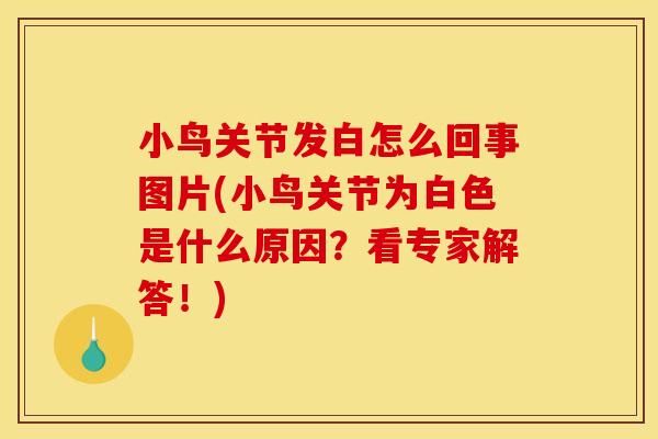 小鸟关节发白怎么回事图片(小鸟关节为白色是什么原因？看专家解答！)