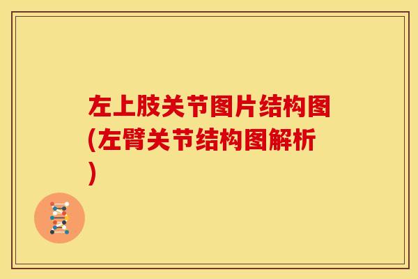 左上肢关节图片结构图(左臂关节结构图解析)
