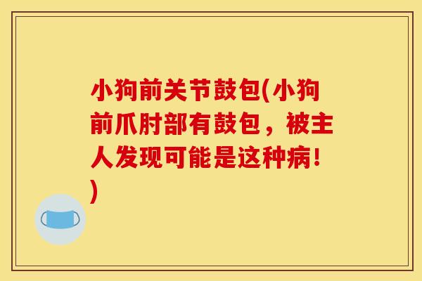 小狗前关节鼓包(小狗前爪肘部有鼓包，被主人发现可能是这种病！)