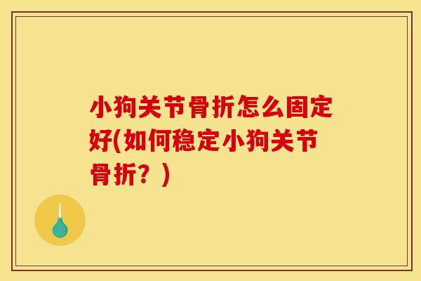 小狗关节骨折怎么固定好(如何稳定小狗关节骨折？)
