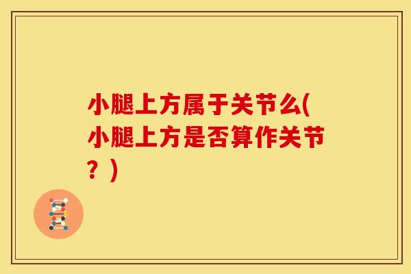 小腿上方属于关节么(小腿上方是否算作关节？)