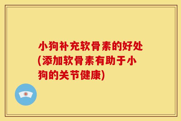 小狗补充软骨素的好处(添加软骨素有助于小狗的关节健康)