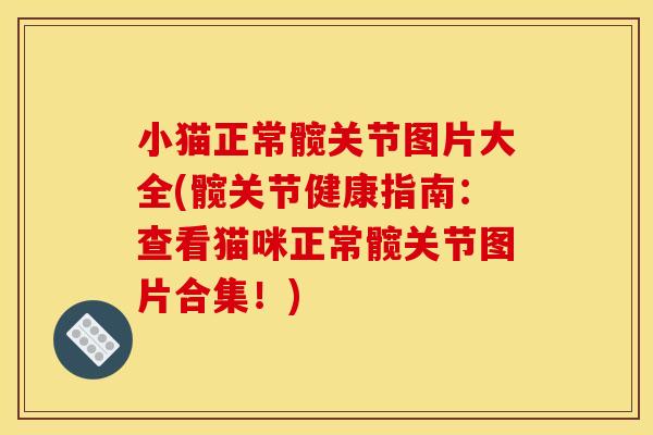 小猫正常髋关节图片大全(髋关节健康指南：查看猫咪正常髋关节图片合集！)