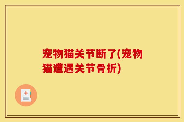 宠物猫关节断了(宠物猫遭遇关节骨折)