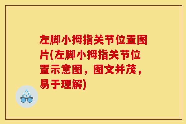 左脚小拇指关节位置图片(左脚小拇指关节位置示意图，图文并茂，易于理解)