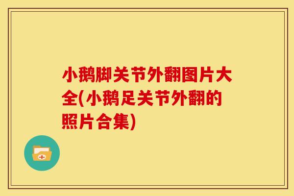小鹅脚关节外翻图片大全(小鹅足关节外翻的照片合集)