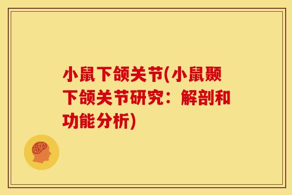 小鼠下颌关节(小鼠颞下颌关节研究：解剖和功能分析)