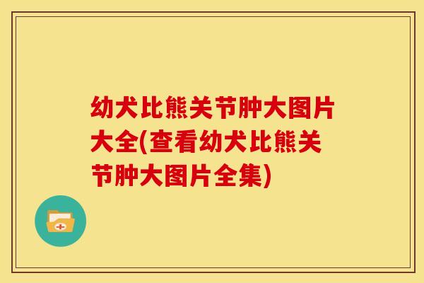 幼犬比熊关节肿大图片大全(查看幼犬比熊关节肿大图片全集)