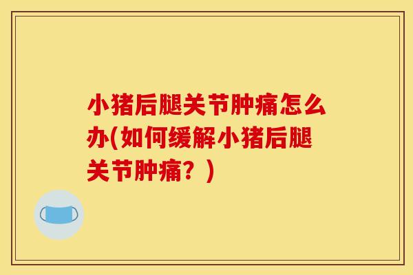 小猪后腿关节肿痛怎么办(如何缓解小猪后腿关节肿痛？)